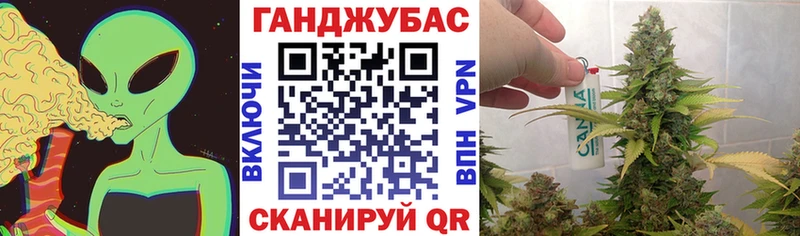 Где купить Трубчевск МАРИХУАНА  Cocaine  Галлюциногенные грибы  Меф мяу мяу  АМФ 