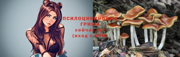 ГАЛЛЮЦИНОГЕННЫЕ ГРИБЫ Алексин