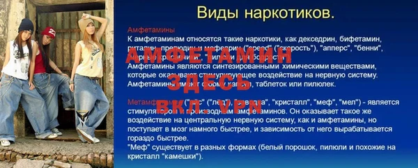 ПСИЛОЦИБИНОВЫЕ ГРИБЫ Алексеевка