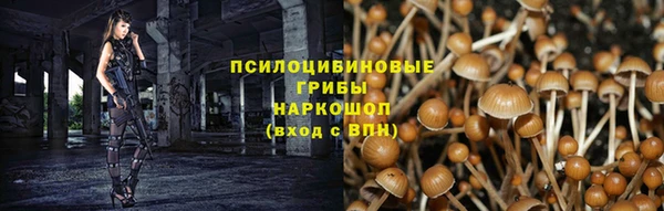 ПСИЛОЦИБИНОВЫЕ ГРИБЫ Алексеевка