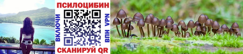 Галлюциногенные грибы мицелий  Трубчевск 